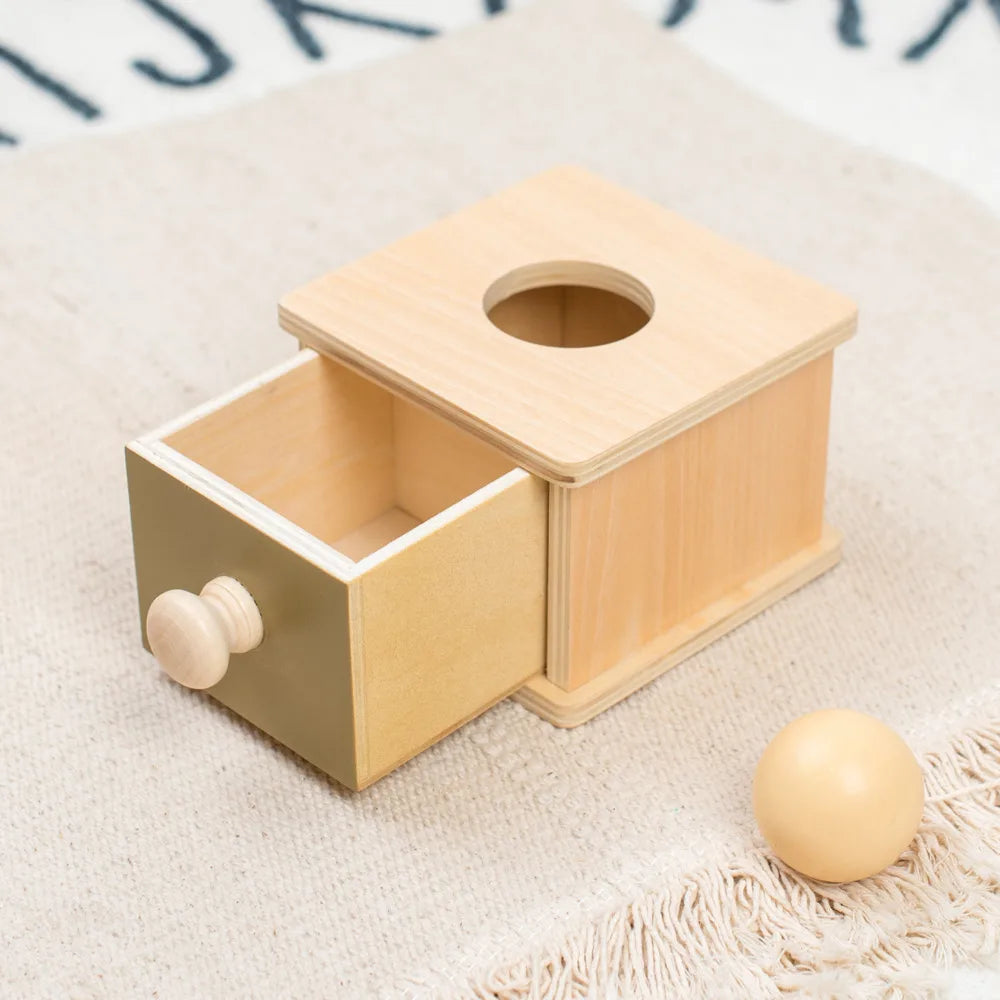 Jouet sensoriel en bois Montessori pour bébés - Association de couleurs et de formes