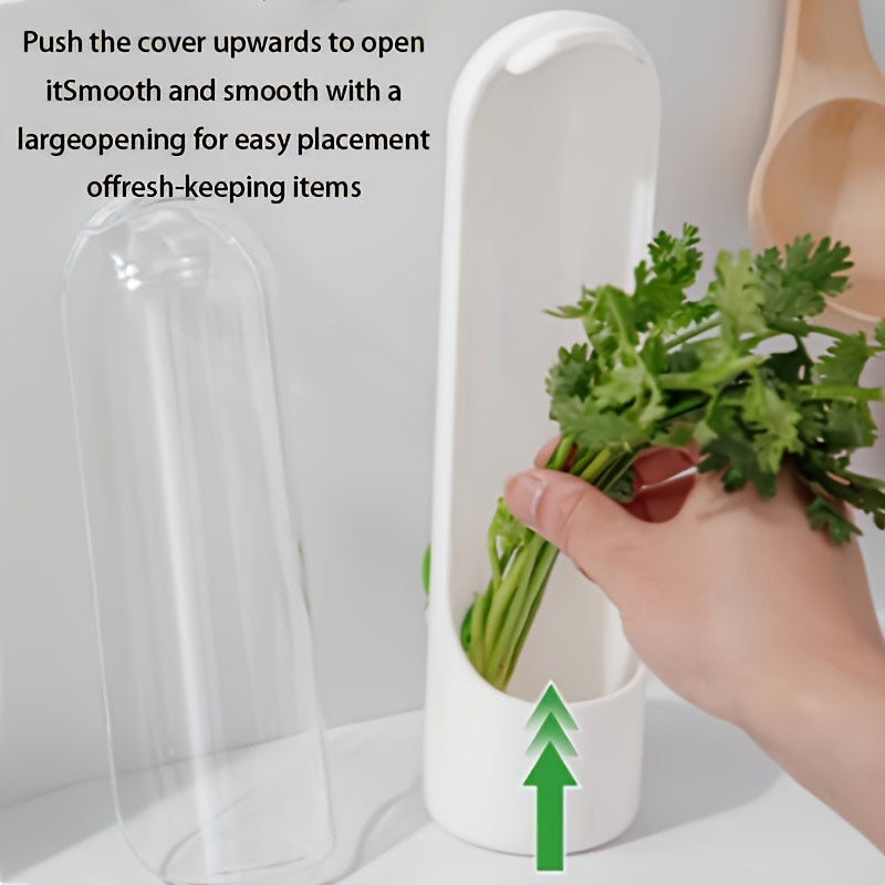 Eco Herb Saver Container for Storing Fresh Greens

