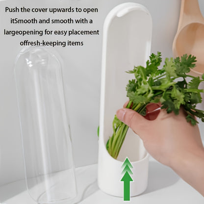 Eco Herb Saver Container for Storing Fresh Greens
