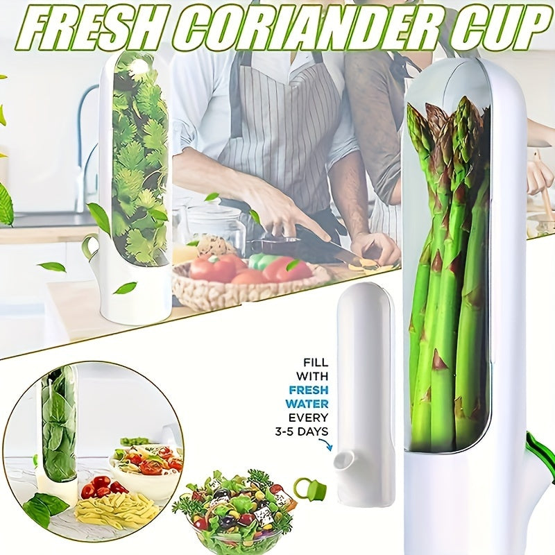 Fresh Herb Preserver for Efficient Kitchen Storage
