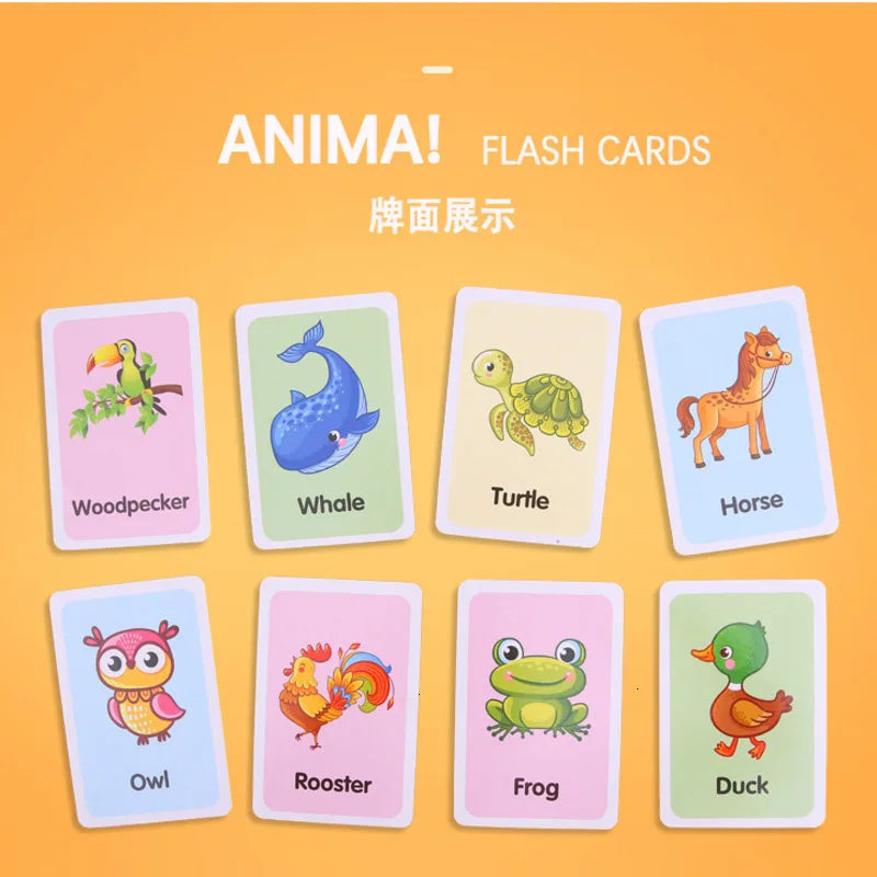 36 Pcs Animal Shape & Color Learning Cards for Kids