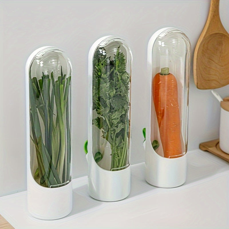 Herb Saver Container for Fresh Herbs & Vegetables | Kitchen Organizer