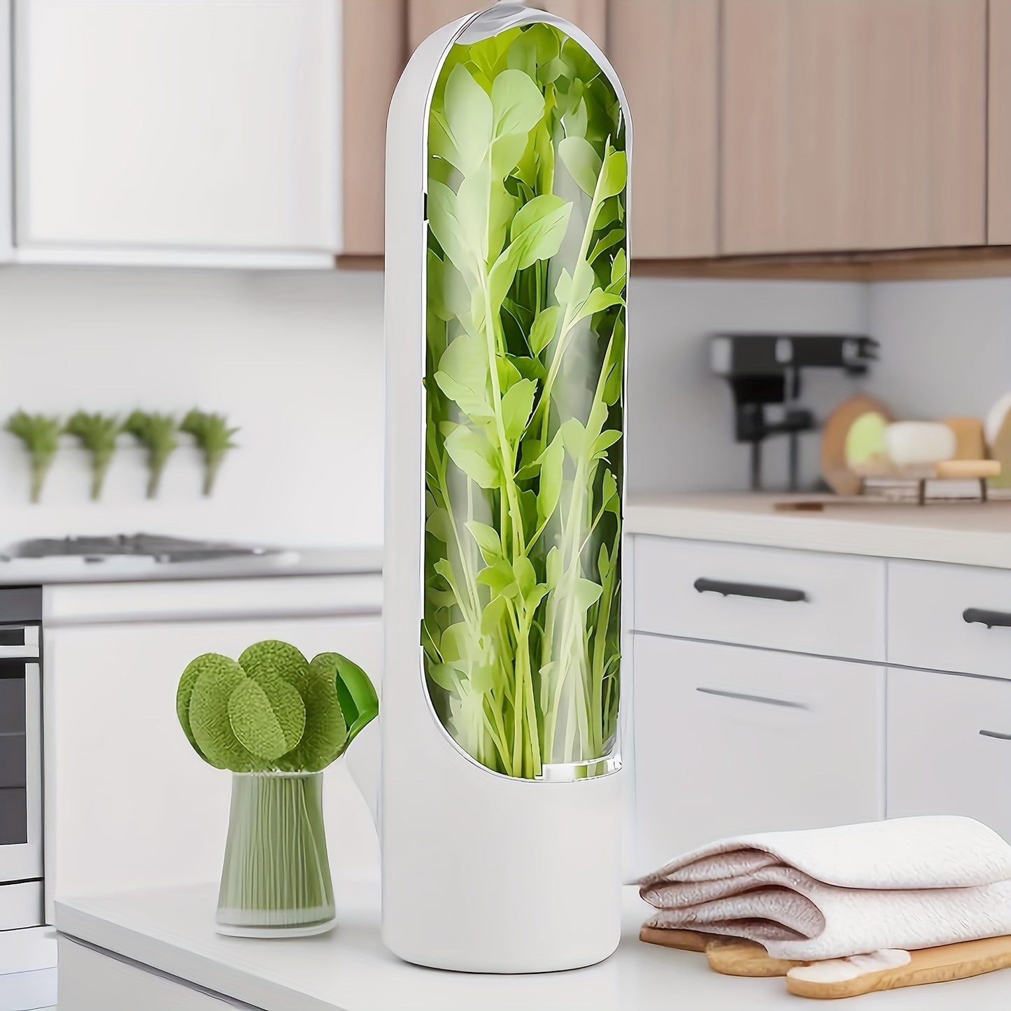 Herb Saver Container for Fresh Herbs and Vegetables
