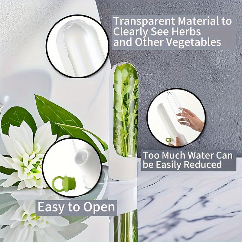 Kitchen Herb Storage Solution for Freshness Preservation
