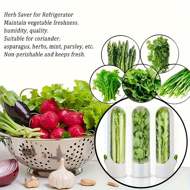 Refrigerator Herb Saver Container for Parsley and Mint
