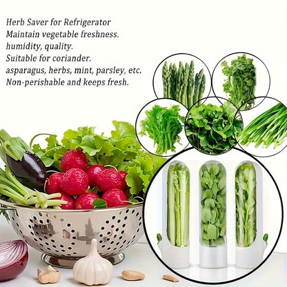 Refrigerator Herb Saver Container for Parsley and Mint

