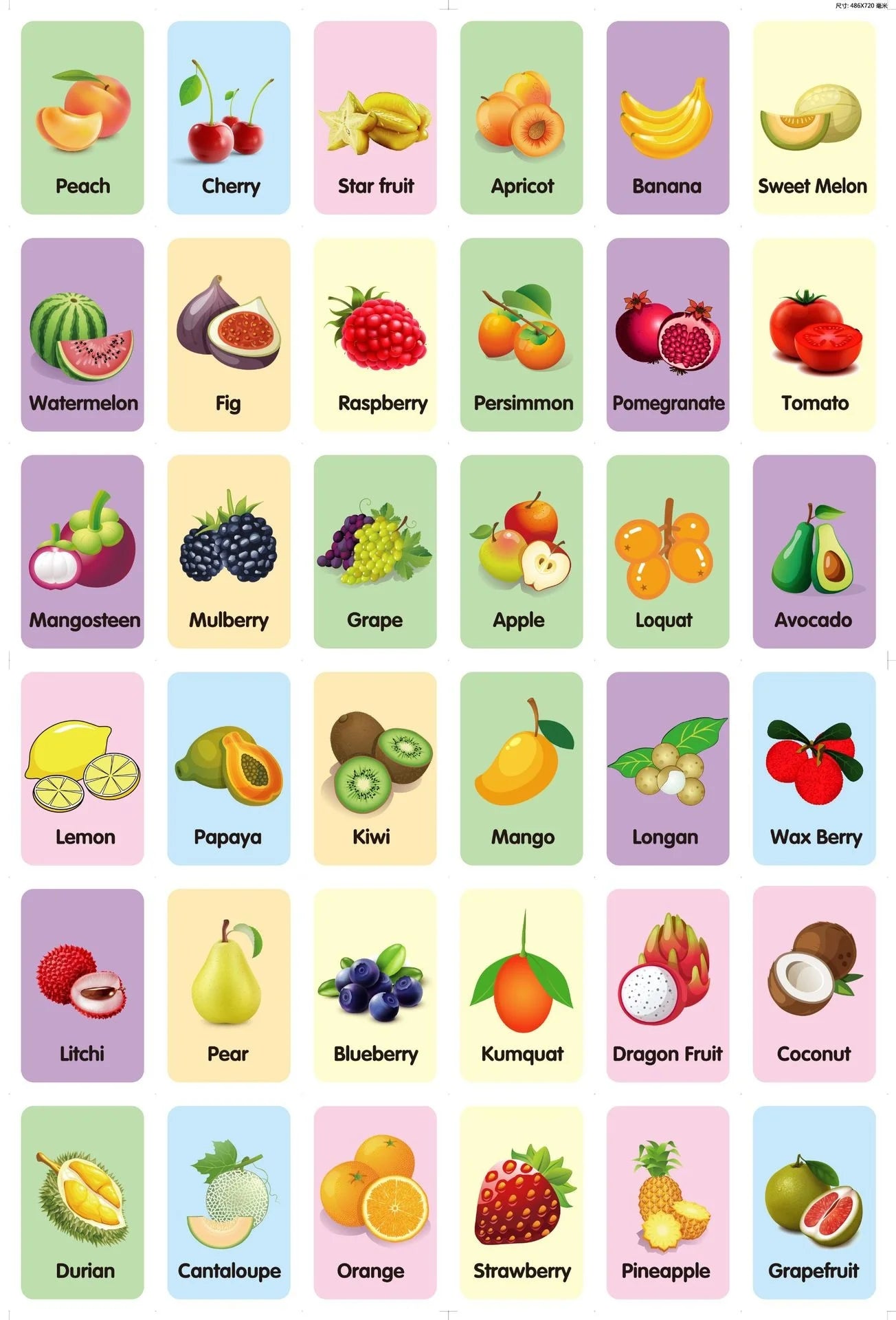 36 Pcs Animal Shape & Color Learning Cards for Kids