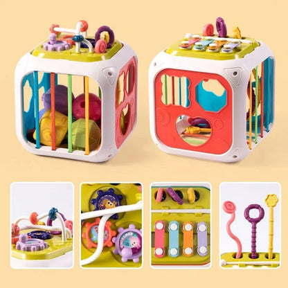 Montessori Shape Sorter Toy for Babies 0-3 Years