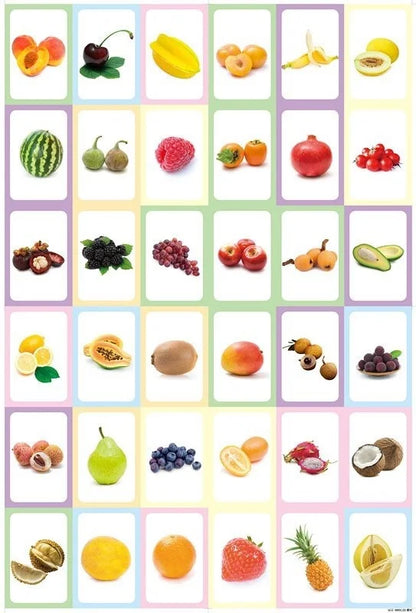 36 Pcs Animal Shape & Color Learning Cards for Kids