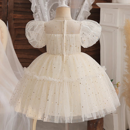 Floral Embroidery Lace Baby Dress for Girls 0-5T