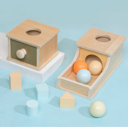 Montessori Wooden Sensory Toy for Infants - Color and Shape Match