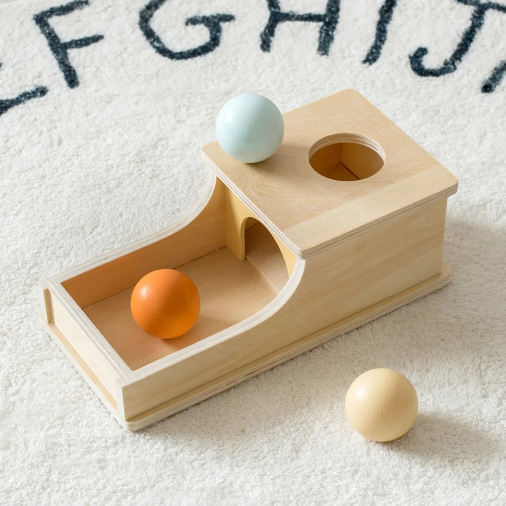 Montessori Wooden Sensory Toy for Infants - Color and Shape Match