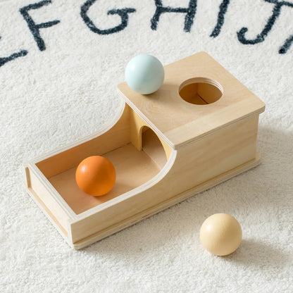 Montessori Wooden Sensory Toy for Infants - Color and Shape Match