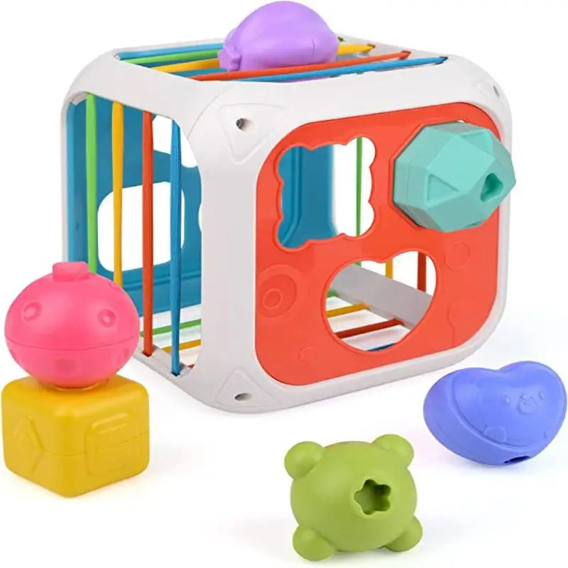 Montessori Shape Sorter for 1-2 Year Olds - Sensory Toy