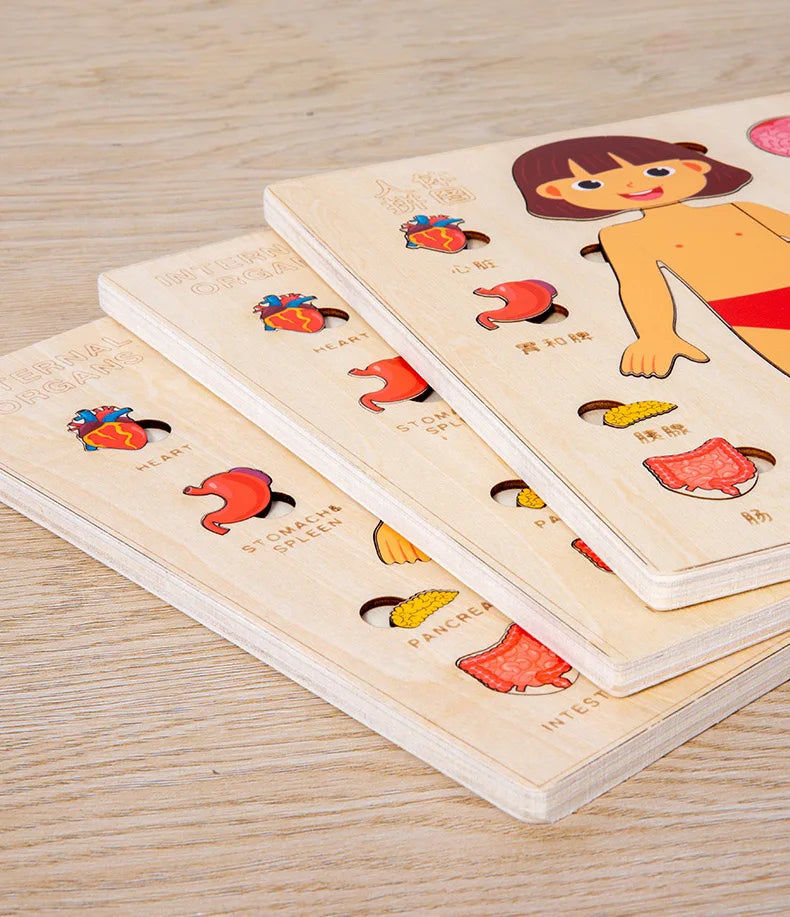 Montessori Human Body Puzzle Board for Kids Learning