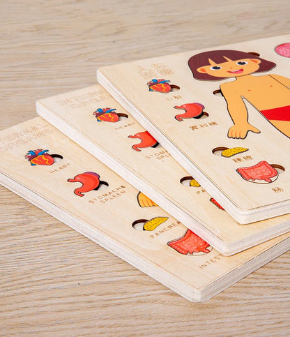 Montessori Human Body Puzzle Board for Kids Learning