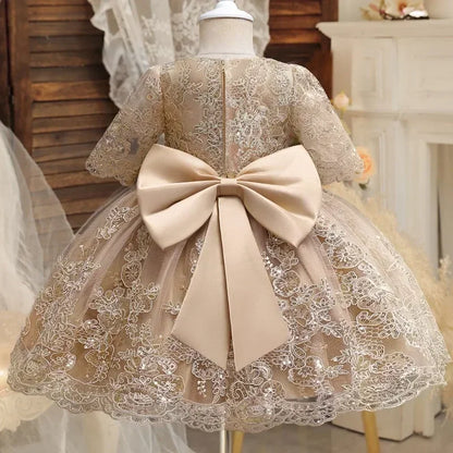 Toddler Girls Floral Embroidery Dress for Special Occasions