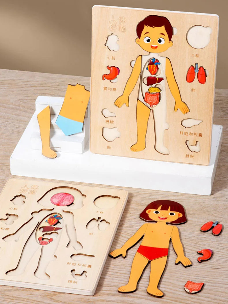 Montessori Human Body Puzzle Board for Kids Learning