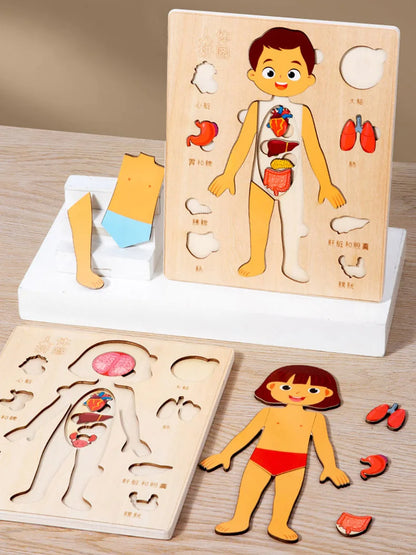 Montessori Human Body Puzzle Board for Kids Learning