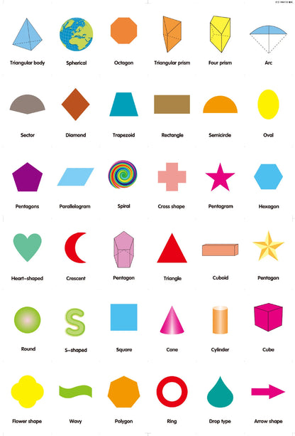 36 Pcs Animal Shape & Color Learning Cards for Kids