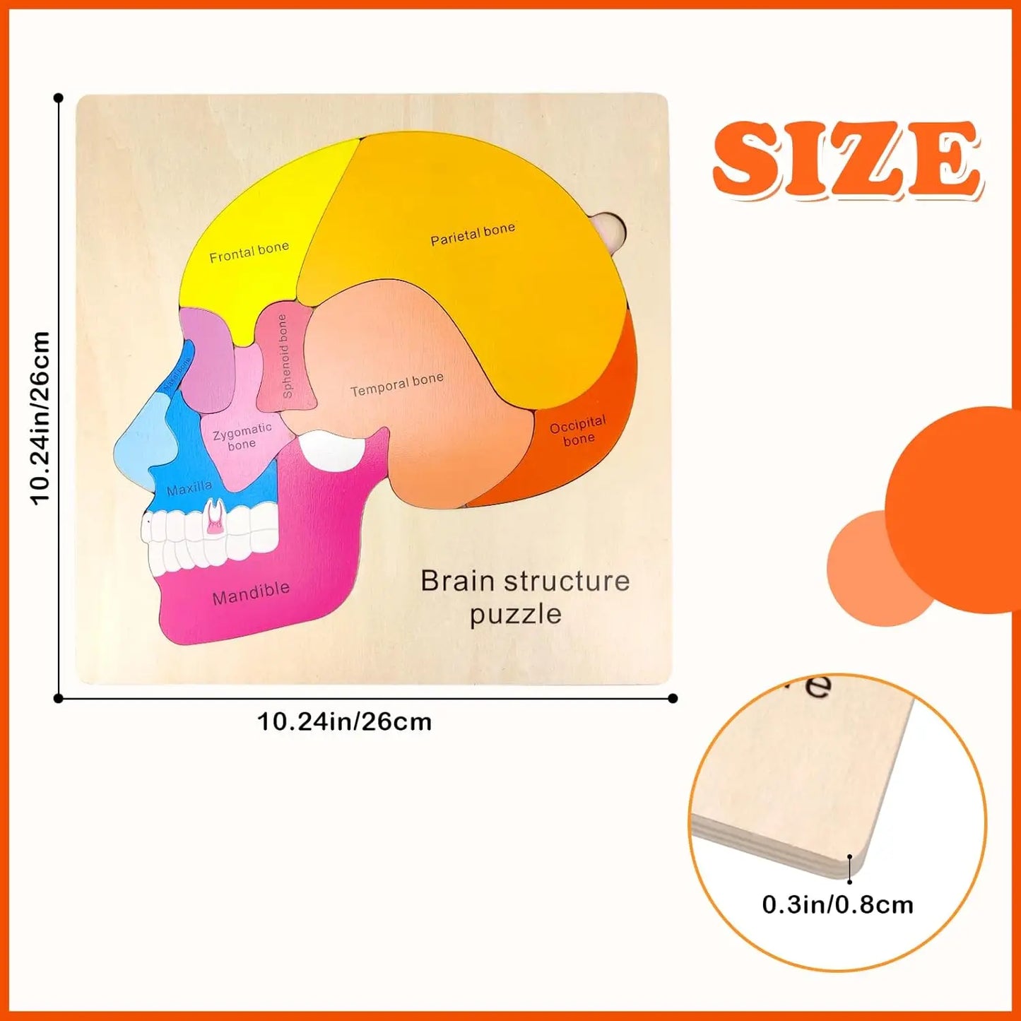 Montessori Human Body Puzzle Board for Kids Learning