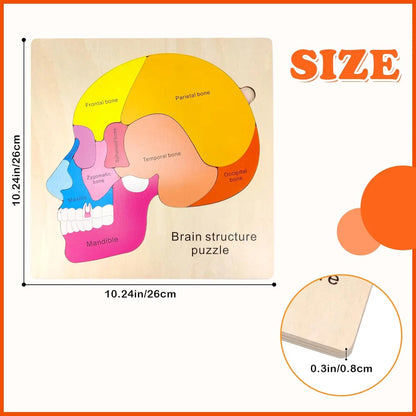 Montessori Human Body Puzzle Board for Kids Learning