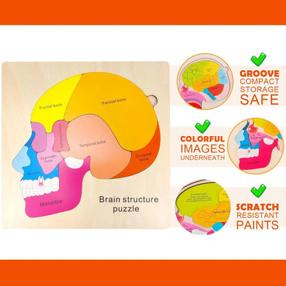 Montessori Human Body Puzzle Board for Kids Learning