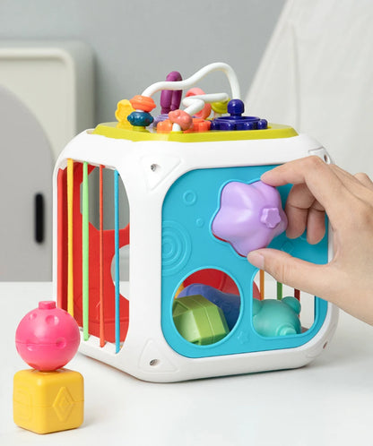 Montessori Shape Sorter Toy for Babies 0-3 Years