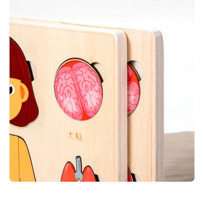 Montessori Human Body Puzzle Board for Kids Learning