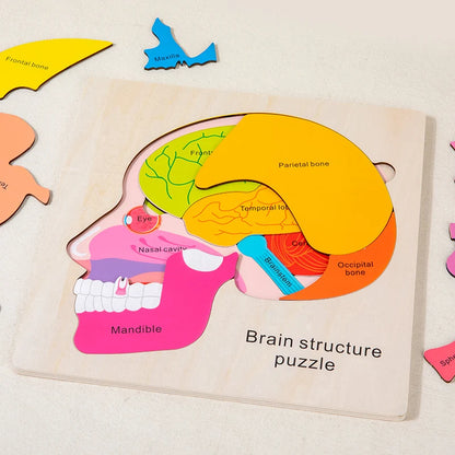 Montessori Human Body Puzzle Board for Kids Learning