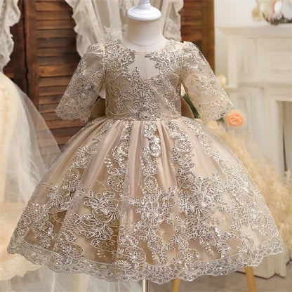 Toddler Girls Floral Embroidery Dress for Special Occasions