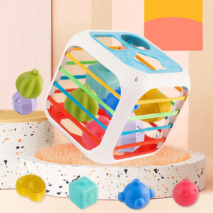Montessori Shape Sorter Toy for Babies 0-3 Years