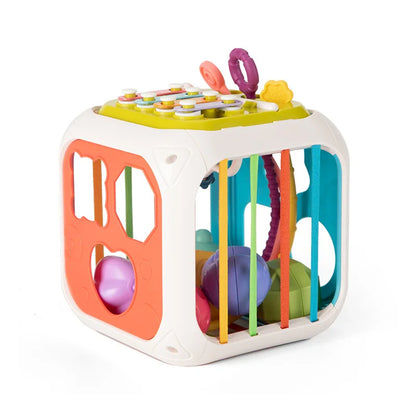 Montessori Shape Sorter Toy for Babies 0-3 Years