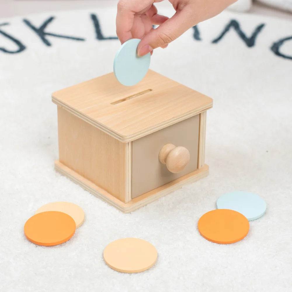 Montessori Wooden Sensory Toy for Infants - Color and Shape Match