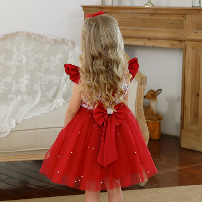 Toddler Girls Floral Embroidery Dress for Special Occasions