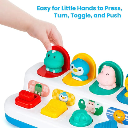 Montessori Cause and Effect Sensory Toy for Babies