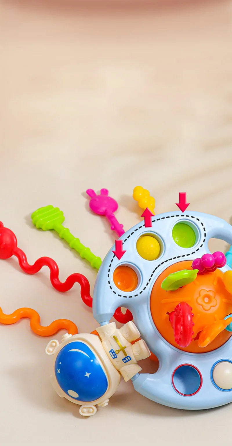 Montessori Shape Sorter Toy for Babies 0-3 Years