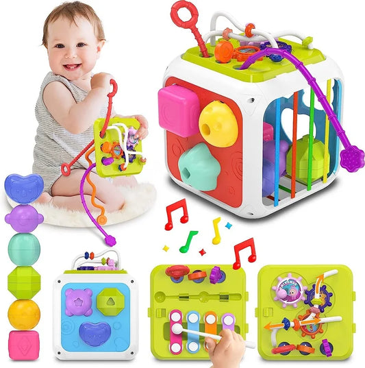 Montessori Shape Sorter Toy for Babies 0-3 Years