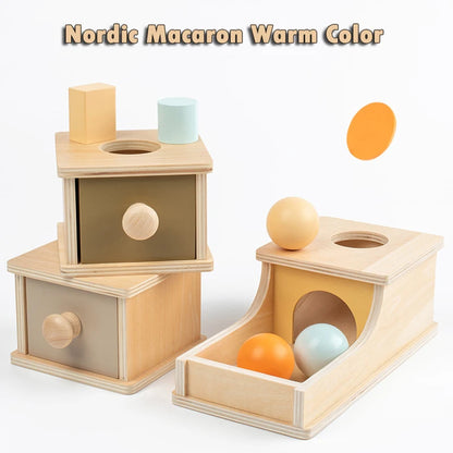 Montessori Wooden Sensory Toy for Infants - Color and Shape Match