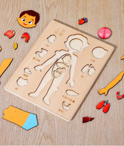 Montessori Human Body Puzzle Board for Kids Learning