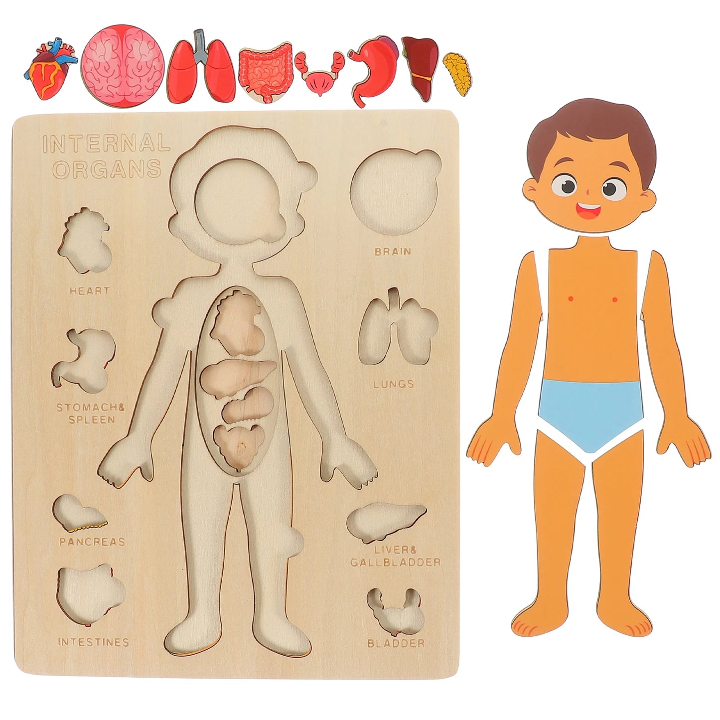 Montessori Human Body Puzzle Board for Kids Learning