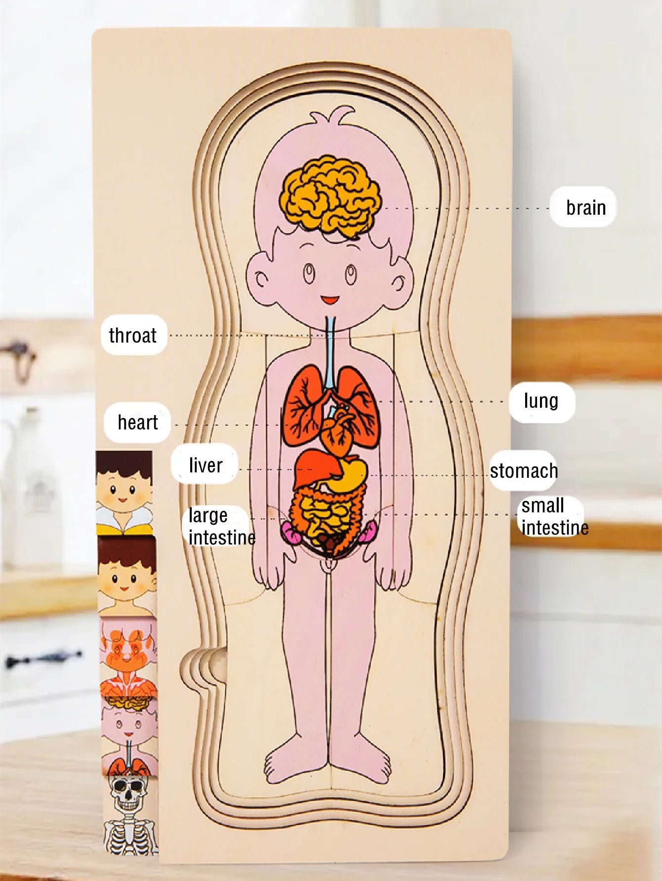 Wooden Human Body Puzzle for Kids - Educational Learning Toy