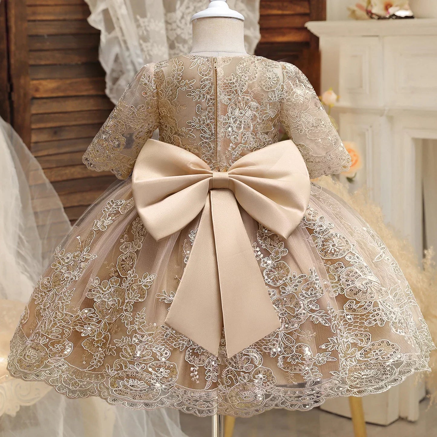 Toddler Girls Floral Embroidery Dress for Special Occasions