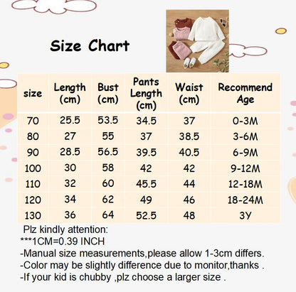 Newborn Unisex 2-Piece Long Sleeve Top and Pants Set