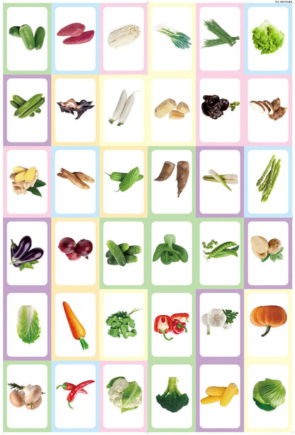 36 Pcs Animal Shape & Color Learning Cards for Kids