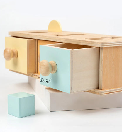 Montessori Wooden Sensory Toy for Infants - Color and Shape Match