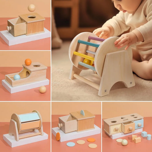 Montessori Wooden Sensory Toy for Infants - Color and Shape Match