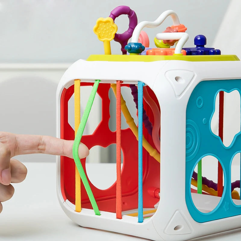 Montessori Shape Sorter Toy for Babies 0-3 Years
