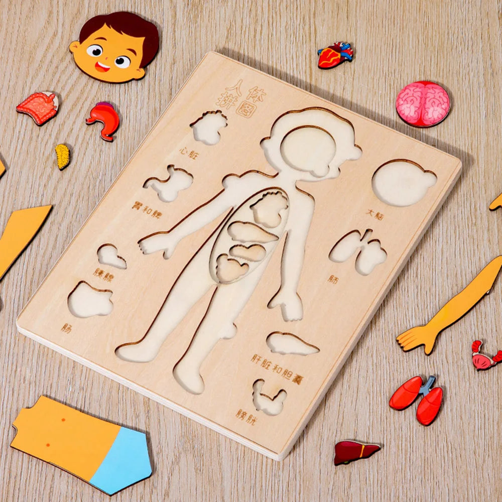 Montessori Human Body Puzzle Board for Kids Learning