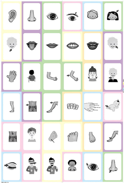 36 Pcs Animal Shape & Color Learning Cards for Kids